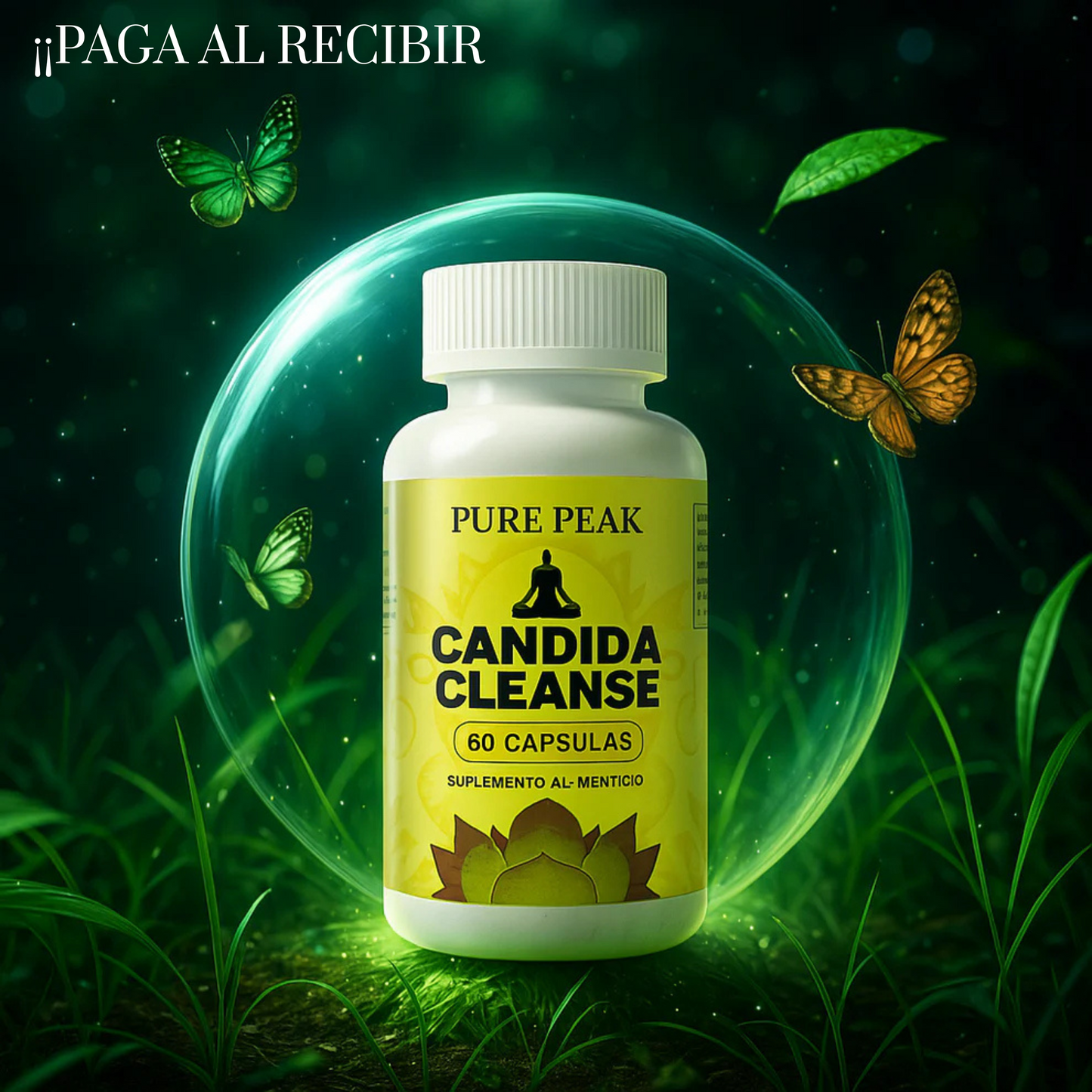 CANDIDA CLEANSE